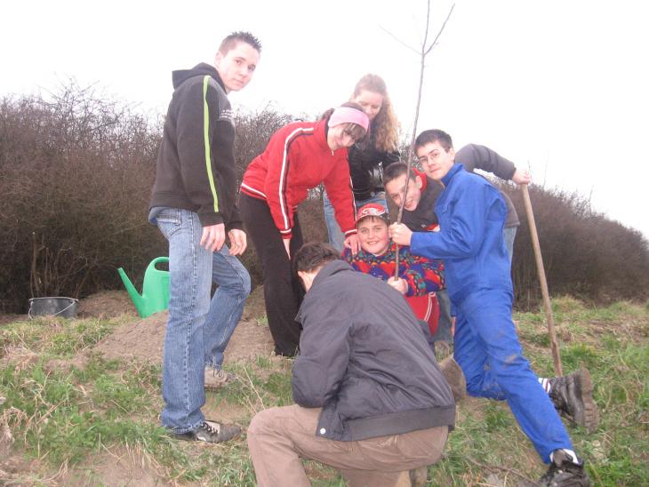 Faluszépítés 3.